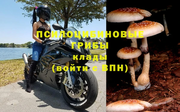 ALPHA PVP Верхний Тагил