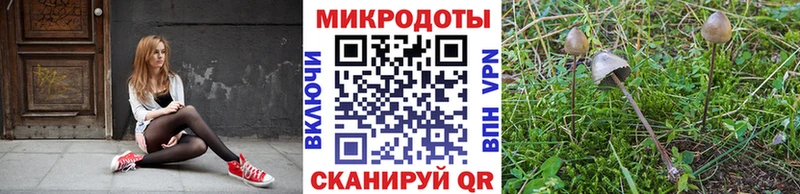 Галлюциногенные грибы прущие грибы  Купить  Нижнеудинск 