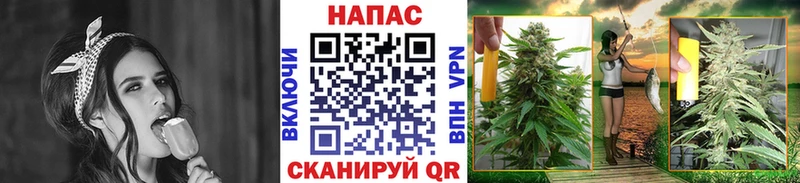 Купить закладки  Нижнеудинск  Бошки марихуана Ganja 